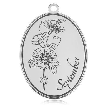 Charm Birth Month with Aster - September, silver 925 BL 880 - 0,4 mm