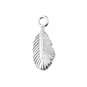 Charm Feather, silver 925 S-CHARM 591