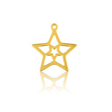 Charm Star open-work Gold 585